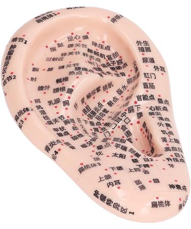 Premium Ear Acupuncture Points & Acupressure Tools - 17cm Probe & 600 Auricle Silicone Model - Buy Online on GoSupps.com