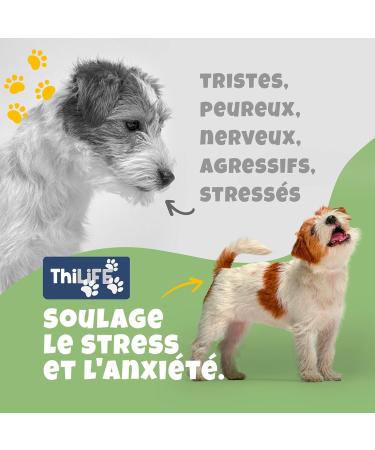 Thilife | Hemp Seed Oil for Dogs and Cats | Beef Flavor | Natural and Rich in Omega 3 6 9 | Vitamins A/B/D/E | for Joint Problems Immune System and Stress Management - Buy Online on GoSupps.com