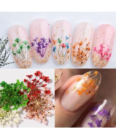 Dried Flowers, Foil Nail Chips, Glitter Stickers - Nail Art Supplies - Buy Online on GoSupps.com