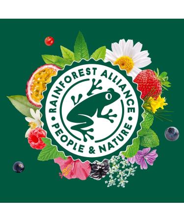 Elephant Infusion Go t Pomme Cannelle et Figue Certifi Rainforest Alliance Ingr dients d'Origine 100% Naturelle 240 Sachets Pyramid - Buy Online on GoSupps.com