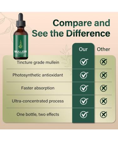 PIRTA Mullein Drops for Lungs Mullein + Chlorophyll Lung Drops Mullein Leaf Extract with Chlorophyll Mullein Leaf Extract for Lung Cleanse and Respiratory Support - 1 PC - Buy Online on GoSupps.com