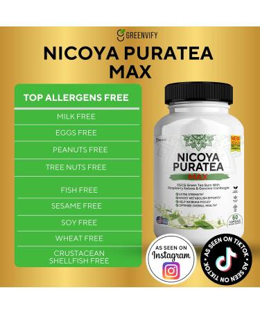GREENVIFY Nicoya PuraTea Max Green Tea Extract & Green Coffee Bean for Metabolism Support Natural Energy Boost Antioxidant-Rich Supplement 60 Capsules - Buy Online on GoSupps.com