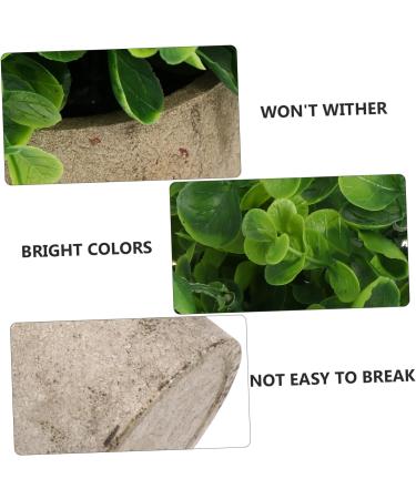 TOPBATHY Home Decor 5 Pcs Simulated Potted Plant Small Pulp Potted Plants Eucalyptus Small Greenery Decor As Shownx5pcs 22x8cmx5pcs - Buy Online on GoSupps.com