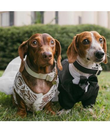 Luxury Fladorepet Hollow Dog Wedding Dress Tutu Rock - Pearl Loop Christmas Costume for Small Dogs - Size M White - Buy Online on GoSupps.com