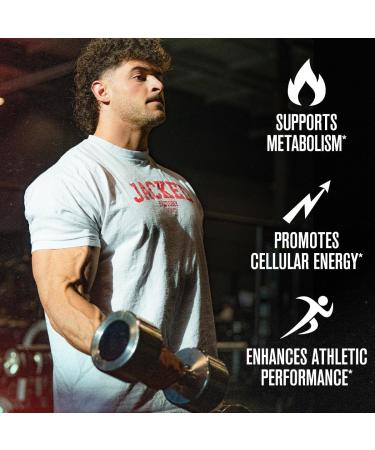 Jacked Factory Liquid L-Carnitine 3000 L Carnitine Supplement for Men & Women - Supports Metabolism Body Recomposition Cellular Energy & Athletic Performance - 32 Servings Sour Pink Lemonade 16 Fl Oz (Pack of 1) - Buy Online on GoSupps.com