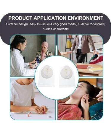 Artibetter Ear Model Set - Silicone Ear Presentation & Piercing Props for Professional Displays - Buy Online on GoSupps.com