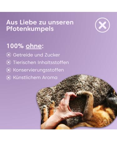 Pfot Buddies Seelenyoga - Soothing Natural Snacks for Dogs with Valerian & Johanniskraut | Stress Relief for Travel & New Year's Eve - Buy Online on GoSupps.com