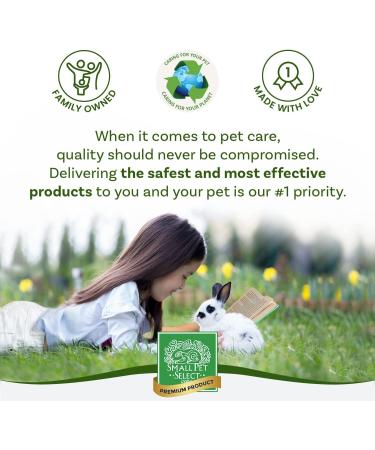 Small Pet Select Metal Hair Buster Comb for Dogs, Cats, and Rabbits - Grooming Tool with Removable Rubber Tine Sleeve - Buy Online on GoSupps.com