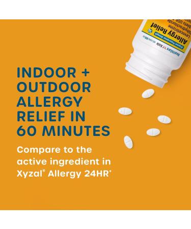 HealthCareAisle Allergy Relief Tablets 160 Count (2 Packs) and GoodSense Allergy Relief Loratadine Tablets 365 Count - Buy Online on GoSupps.com