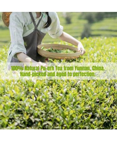 HQZM Dianhong Kleine Vierkante Bak Tuocha Puer Rijpe Thee 500g 1764oz Yunnan Fengqing Gongfu Zwarte Thee - Buy Online on GoSupps.com