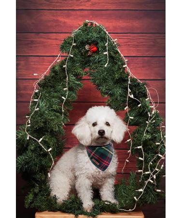 Shop Lionet Paws Christmas Dog Bandana - Checkered Green Triangular Scarf for Small Medium & Large Dogs (1-Pack) - Buy Online on GoSupps.com