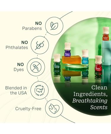 Lifelines Essential Oil Blends 5-Pack Discovery Set - Blended Essential Oils with Precision Pump for Aromatherapy Diffusers - Long-Lasting Scented Fragrance - Joy Calm Focus & Energy Blends Discovery Set 0.10 Fl Oz (Pack  - Buy Online on GoSupps.com