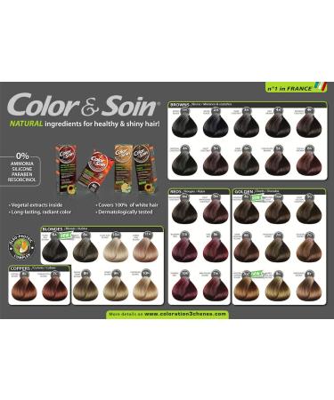 Color & Soin Permanent Hair Color - 4B Chestnut Brown | Buy Now for Vibrant & Nourished Hair | International Shipping - Buy Online on GoSupps.com