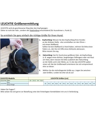 Leuchtie Luminous Cold Band for Dogs - USB Rechargeable Waterproof LED Collar | Bright & Long-Lasting Size 35 Sun Yellow - Buy Online on GoSupps.com