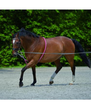 Lunging Aid for Horses | Enhance Training & Performance | International Shipping Available - Buy Online on GoSupps.com