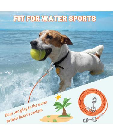 HaiYUAN Dog Tie Out Cable 10/15/20/30FT Dog Run Cable Orange/Grey Tie Out Cable for Dogs with Reflects Light Dog Cable for Large Dogs Heavy Duty for Outside Hold Large Dogs Up to 100LBS 10ft Orange4mm - Buy Online on GoSupps.com