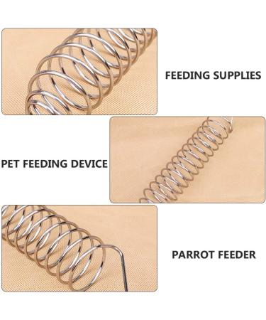 Stainless Steel Parrot Foraging Toy - Hanging Food Basket for Birds - Balacoo Parrot Food Holder for Fruits, Millet & Seeds - Buy Online on GoSupps.com