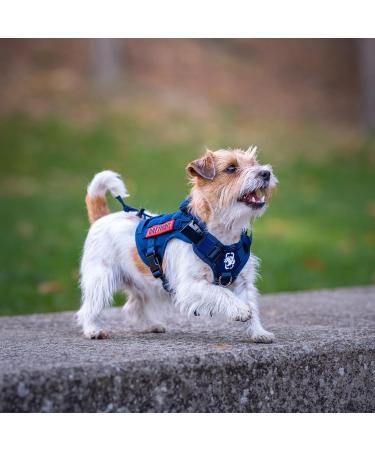 Oneigris Dog Harness - Fire Watcher Tactical Molle Safety Harness No-Pull D-Ring 1000D Nylon XXS Blue | Shop Internationally Today! - Buy Online on GoSupps.com