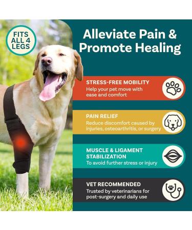 QYJLOFMVE Dog Knee Brace Support for Large and Small Dogs Suffering from ACL CCL Cruciate Ligament Injuries Luxating Patella or Osteoarthritis for Rear Legs and - Buy Online on GoSupps.com