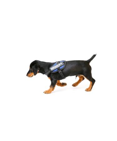 IDC Powerharness Size: 3XS/Baby 1 Blue Blue 3XS/Baby 1