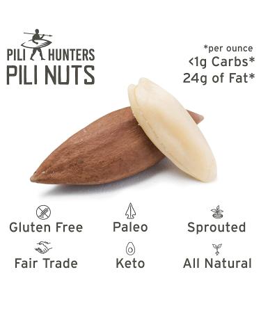 Pili Hunters Wild Sprouted Pili Nuts - Pink Himalayan Salt 5oz Bag | Keto/Paleo/Vegan Superfood Snacks | Low Carb, Gluten Free, No Sugar Added, Energy Boost | 5 Ounce Pack - Buy Online on GoSupps.com