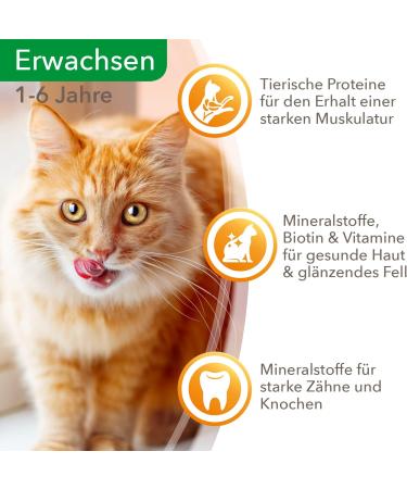 IAMS DELICIOUS Cat Food Wet with Juicy Beef & Carrots in Jelly - Adult Cat Full Meal - 24 x 85g Pack - Buy Online on GoSupps.com