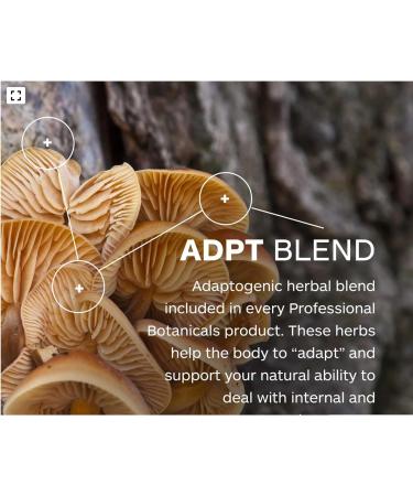 Professional Botanicals - Vegan Formulated Co-Resists - Synergistic Blend of Herbs and Powerful Nutrients That Supports The Immune System - 90 Vegetarian Capsules - Buy Online on GoSupps.com