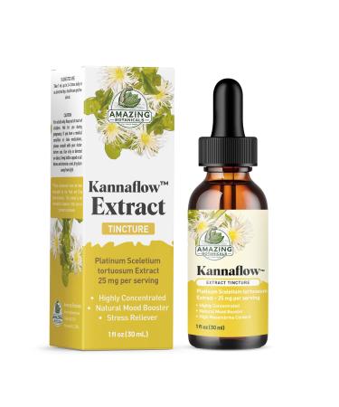 Amazing Botanicals Platinum Kanna Extract Tincture 25mg Sceletium Tortuosum | 80% Mesembrine | 5.5% Alkaloids | Supports Calm & Focus | Vegan, Non-GMO, USA Made, Sugar & Alcohol-Free Drops - 1oz 1 Fl Oz (Pack of 1)