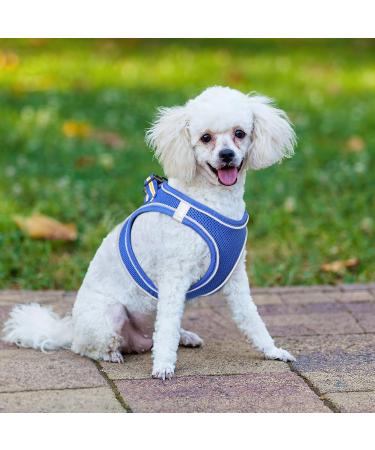 Heele Dog Harness for Small & Medium Dogs - Adjustable Reflective Soft Mesh in Royal Blue (2XS) - Breathable & Comfortable - Buy Online on GoSupps.com
