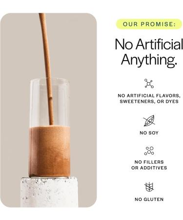 Gainful Performance Whey Protein Powder & Sweet Treat Flavor Bundle 25g Protein Supports Muscle Growth Recovery and Endurance No Artificial Ingredients 14 Servings + 14 Flavor Sticks - Buy Online on GoSupps.com