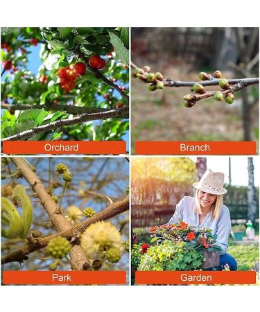 Electric Pruning Shears Rechargeable 2Ah Battery 16.8V 30Mm 1.2 Inch Diameter Professional Cordless Tree Branch Cutter Scissors Small Gift - Buy Online on GoSupps.com