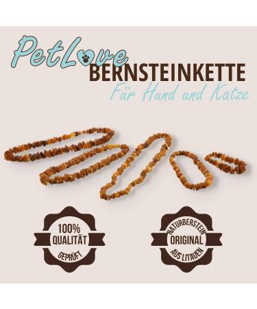 PetLove 100% Baltic Amber Dog Necklace | Collar for Dogs & Cats - 50cm - Buy Online on GoSupps.com