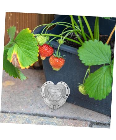 COHEALI 4pcs Heart Strawberry Mold Specialty Tools Strawberry Shaping Heart Shaped Fruit Mold Pp - Buy Online on GoSupps.com