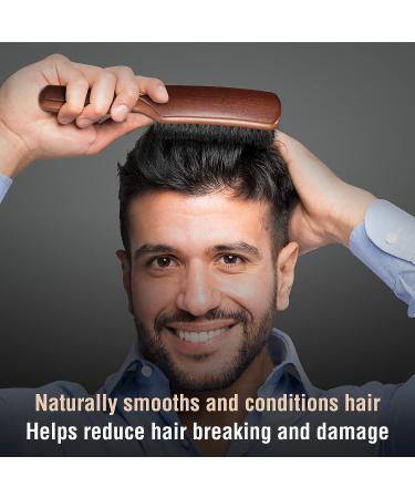 BRUSHZOO 100% Boar Bristle Hair Brush for Men - Beech Handle Hairbrush for Thin Fine Normal Hair & Beard - Buy Online on GoSupps.com
