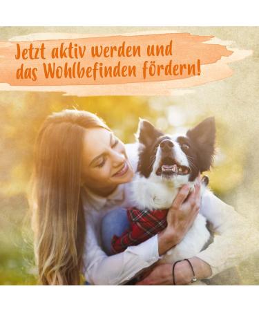 Ida Plus Beer Yeast Powder 500g - 100% Natural Dog Cat & Horse Supplement for Shiny Fur & Healthy Skin - Rich in B Vitamins & Minerals - Buy Online on GoSupps.com