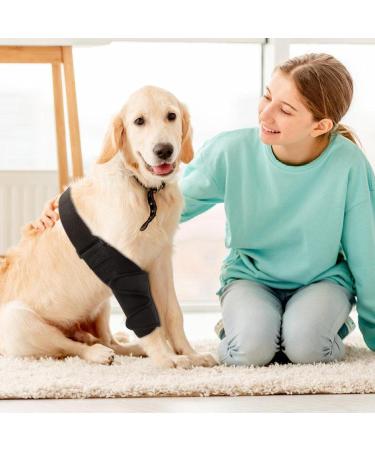 Dog Knee Brace - with 10 Support Sticks Dog Back Leg Brace - Comfortable Hip and Leg Protector Breathable for Small Senior and Disabled Dogs - Buy Online on GoSupps.com