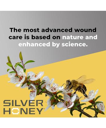 Absorbine Silver Honey Rapid Skin Relief Medicated Shampoo - 16 fl oz - Buy Online on GoSupps.com