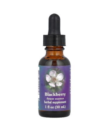 Flower Essence Services Fes Quintessentials Blackberry Supplement Dropper 1 Ounce