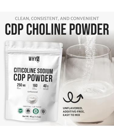 Pure Citicoline CDP Choline Powder Unflavored Choline Supplement for Focus Memory & Cognitive Support Smooth Mixing Non-GMO Vegan No Additives 40 g - Buy Online on GoSupps.com