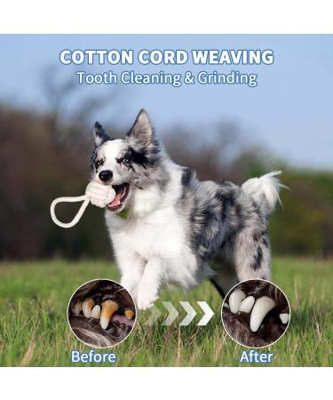 100% Natural Hemp Dog Toys Set - Durable Rope & Knot Ball for Training | Perfect for Puppies Medium & Large Dogs - Buy Online on GoSupps.com