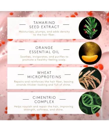 Rene Furterer TONUCIA Replumping Shampoo - Redensifies & Revitalizes Thin, Weak Hair | Pro-Youth Ritual | Silicone-Free | 6.7 Fl Oz - Buy Online on GoSupps.com