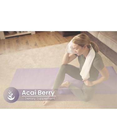 PURE ORIGINAL INGREDIENTS Acai Berry (100 Capsules) No Magnesium Or Rice Fillers Always Pure Lab Verified 100 Count (Pack of 1) - Buy Online on GoSupps.com