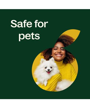 Plant Therapy Lemongrass Essential Oil 100% Pure Undiluted Natural Aromatherapy for Diffuser and Skin Therapeutic Grade 10 mL (1/3 oz) - Buy Online on GoSupps.com