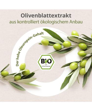 Ashwagandha KSM-66 & Olive Leaf Extract - Organic 600mg 60 Vegan Capsules - Premium Stress Relief & Wellness Support - Buy Online on GoSupps.com
