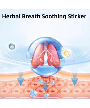 Herbal Breath Soothing Sticker Herbal Breath Soothing Cough Relieving Patch Herbal Soothing Sticker It is Suitable for Sub-Health People Who are Uncomfortable Due to Cough and Asthma (1box) - Buy Online on GoSupps.com