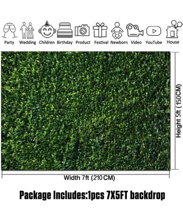 HQM 7x5FT Nature Spring 3D Green Leaves Photo Background for Wedding, Birthday, Baby Shower Photography - Buy Online on GoSupps.com
