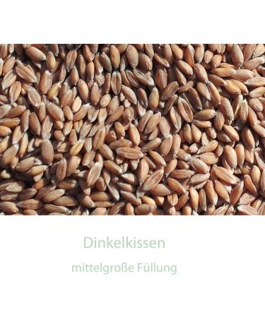 Buy 3-Chamber Spelt Pillow 20x50cm - Large Green Grain Pillow for Heat & Cold Therapy - Buy Online on GoSupps.com