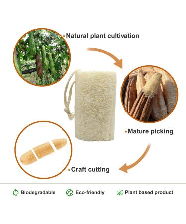 UOPTY Natural Loofah Bath Sponge Set - Exfoliating Body Luffa for Clean Skin - Kitchen Scrubbing Sponge - 4 Pcs, White - Buy Online on GoSupps.com
