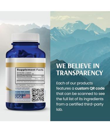 Vykee Nutrition Vitamin B1 (Thiamine) Capsules Supports Energy Metabolism & Nervous System Health Vegan Non-GMO Gluten-Free 500 mg 120 Count - Buy Online on GoSupps.com