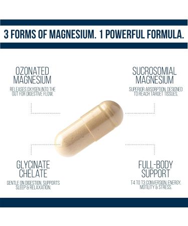 Thyro Mag+ Triple Magnesium Complex Magnesium Glycinate Sucrosomial & Mag O7 (Ozone) Thyroid & Adrenal Support Sleep Mood Energy 90 Capsules by Dr. Westin Childs - Buy Online on GoSupps.com